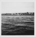madryn-13