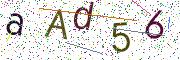 CAPTCHA imagen